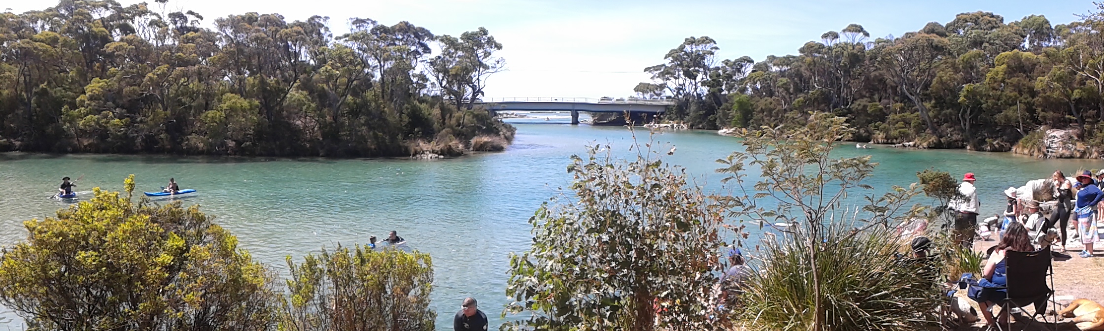 Crayfish Creek high Tide